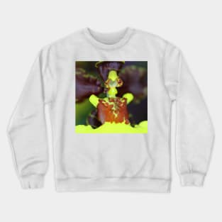 Orchid Super Macro Crewneck Sweatshirt